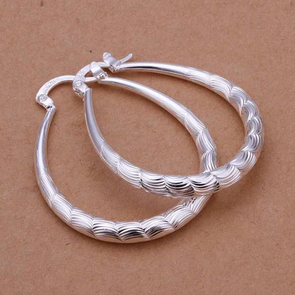 Fashion for Women 925 Sterling Silver Wedding Hook Beautiful High Quality Earring Jewelry Cute Gift